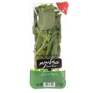 בזיליקום תקומה