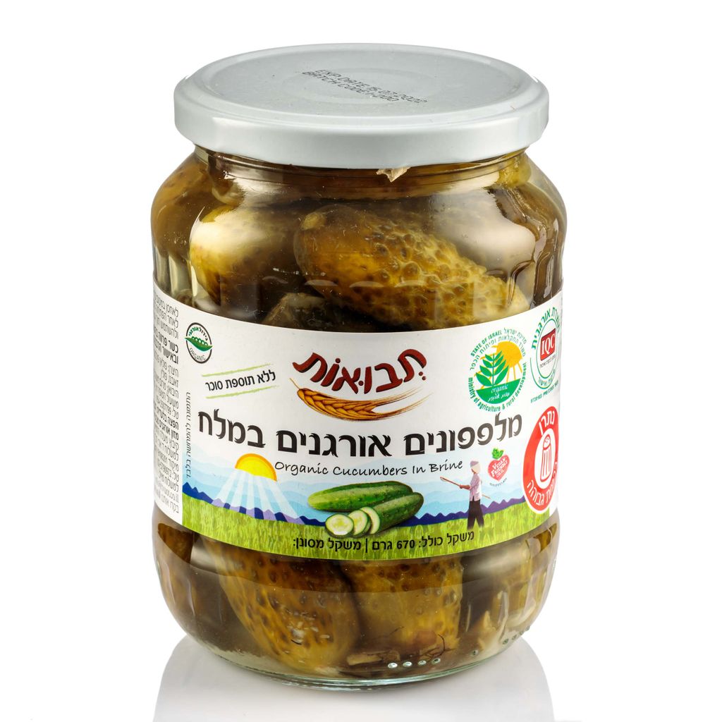מלפפון במלח אורגני 6
