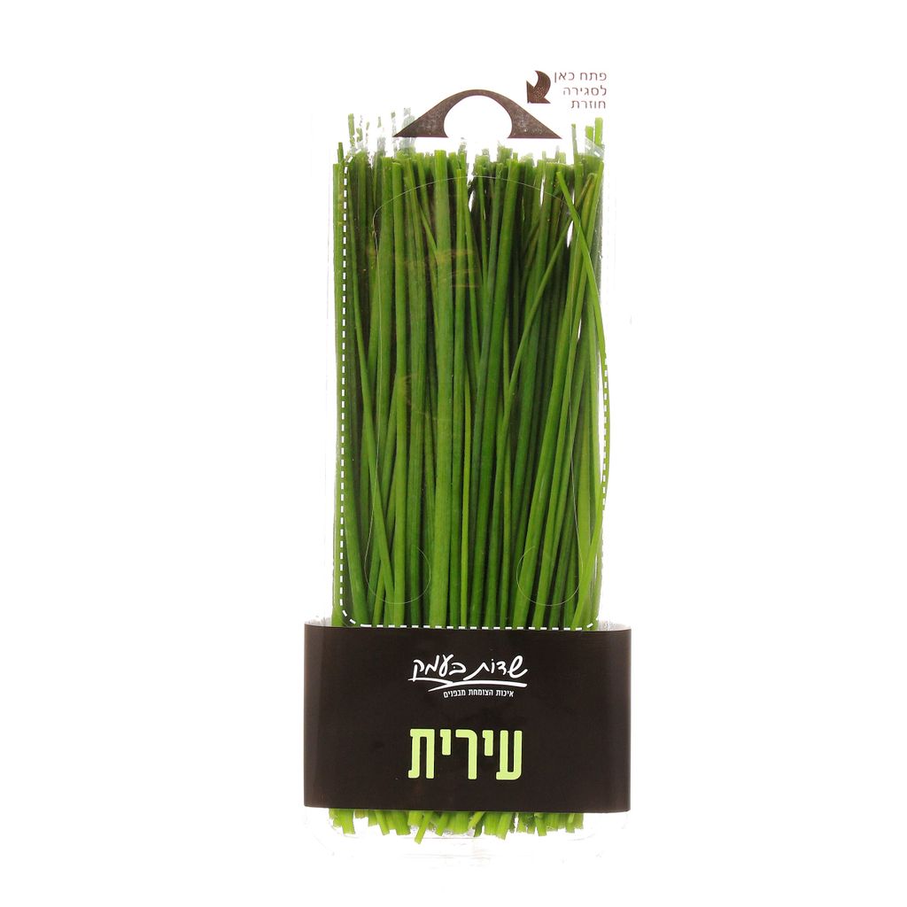 עירית שדות בעמק