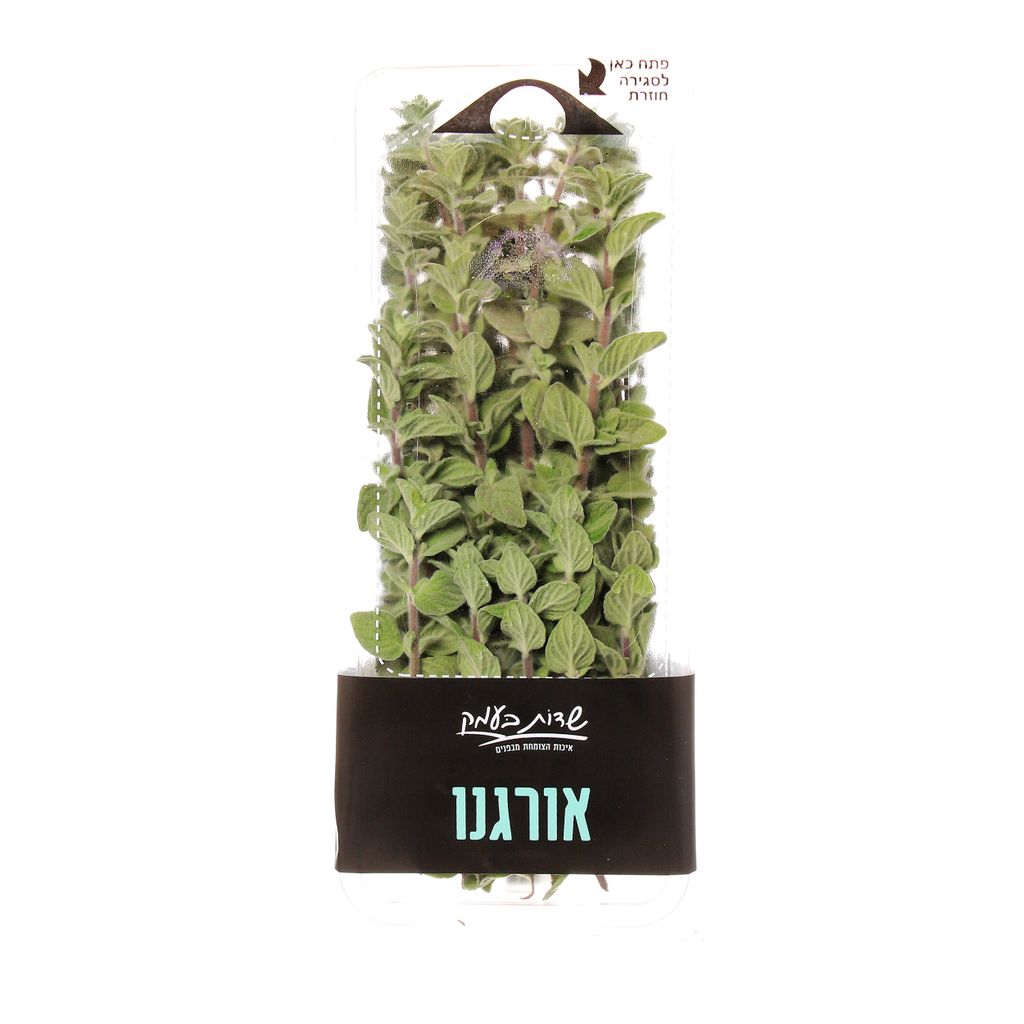 אורגנו שדות בעמק