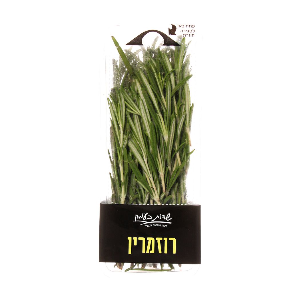 רוזמרין שדות בעמק