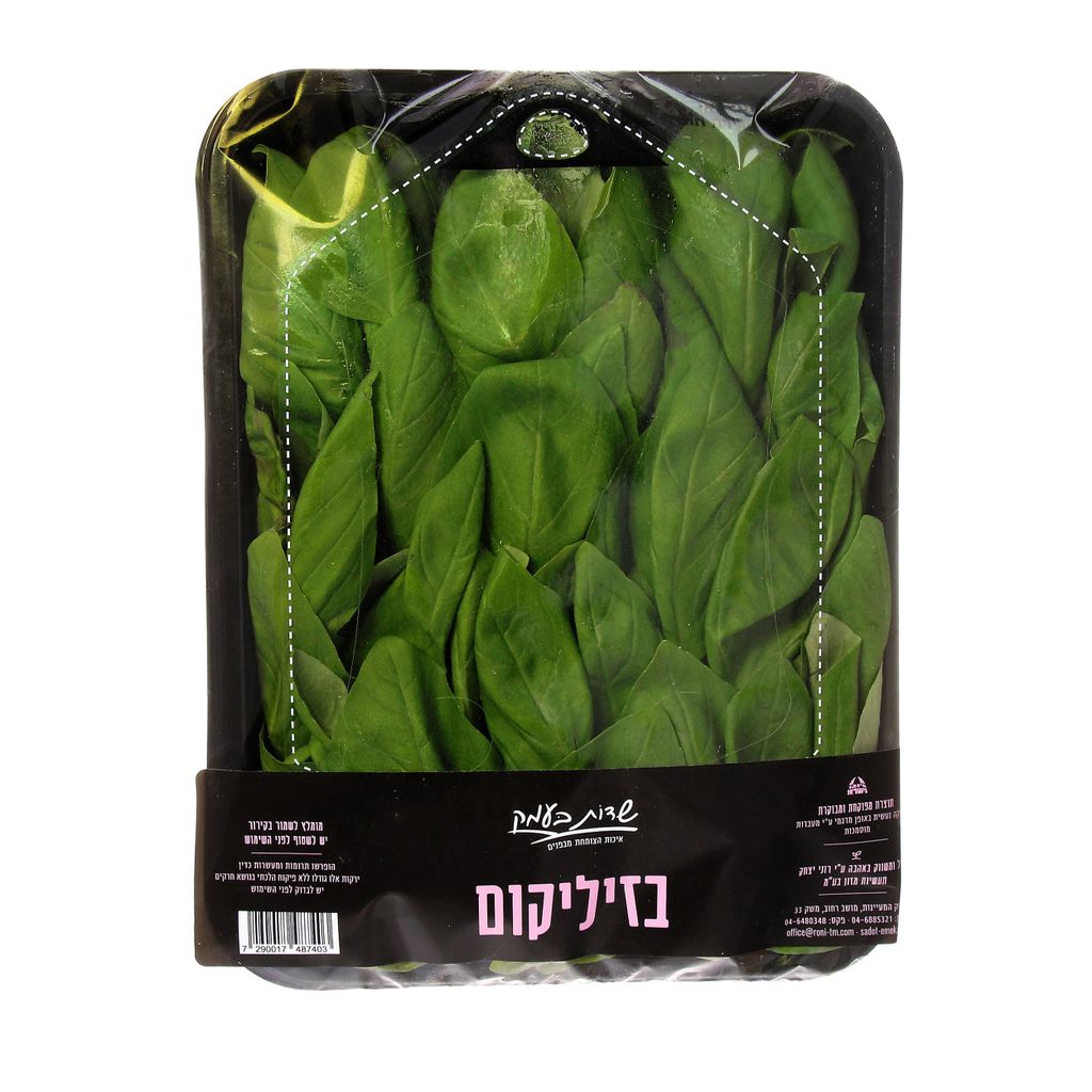 בזיליקום שדות בעמק