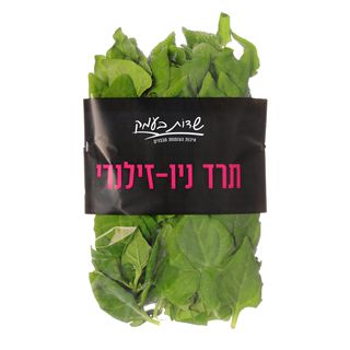 תרד ניו-זילנדי בנספק