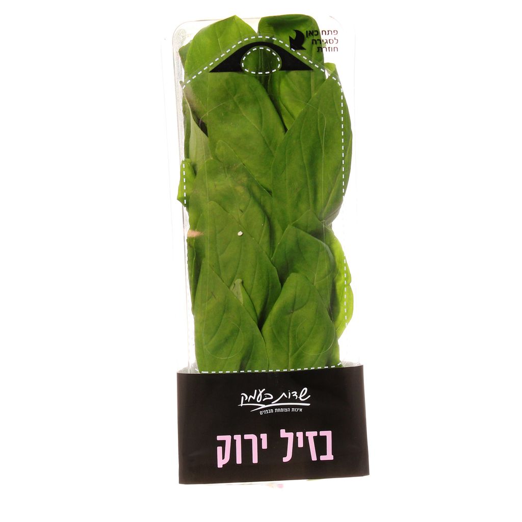 בזיליקום שדות בעמק