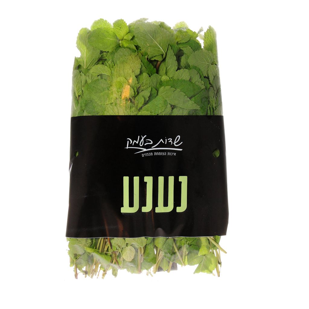 נענע שדות בעמק