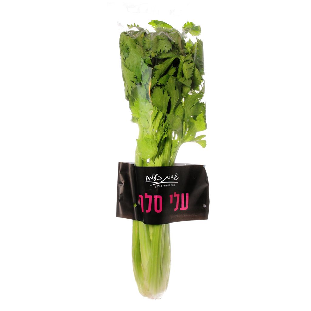 סלרי חתוך- שדות בעמק