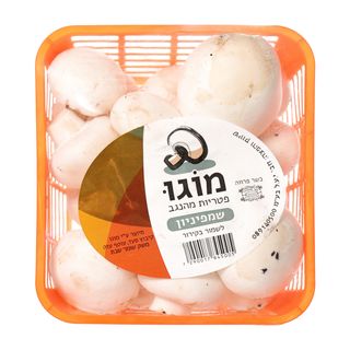 פטריות " שמפניון מוגו" 250 גרם