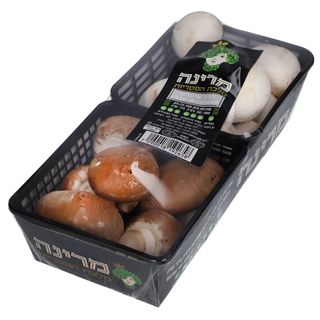 פטריות מעורב איטלקי