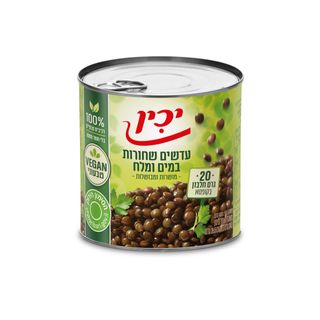 עדשים שחורות יכין 40