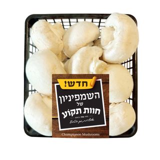 פטריות שמפיניון חוות
