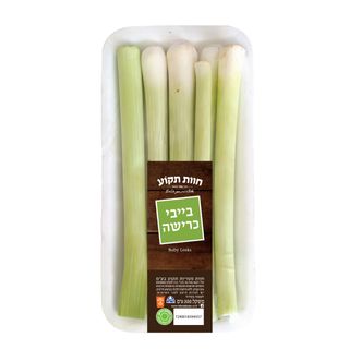 בייבי כרישה חוות תקו