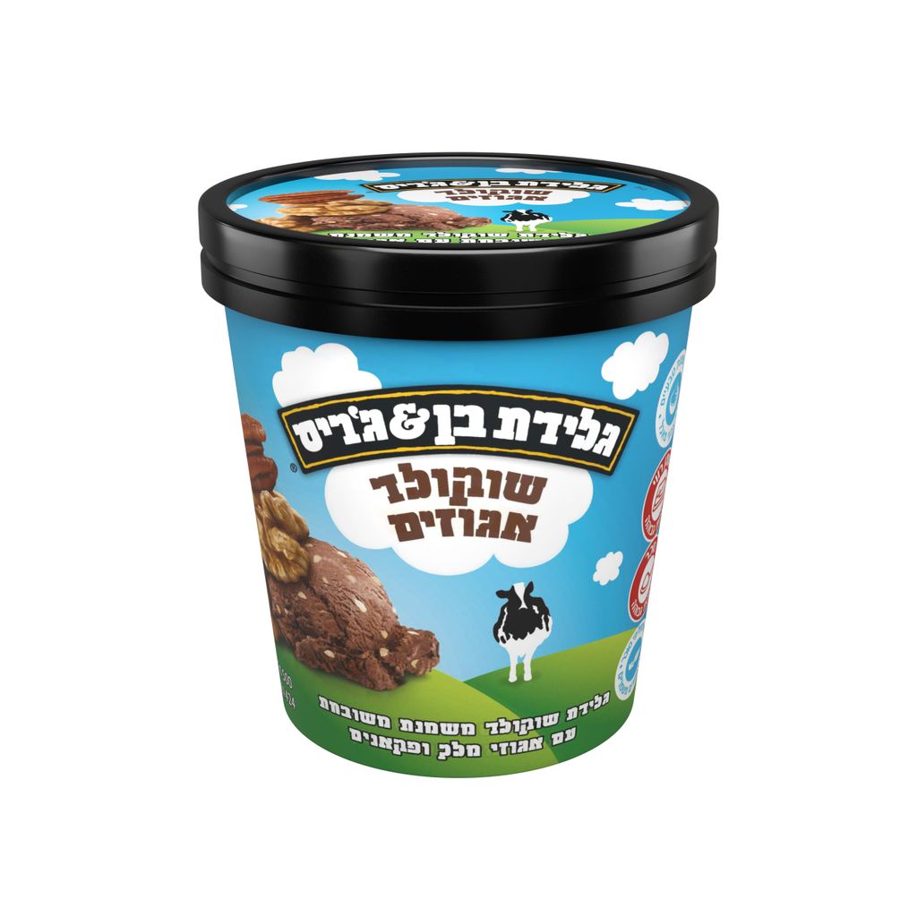 גלידת פיינטים שוקולד