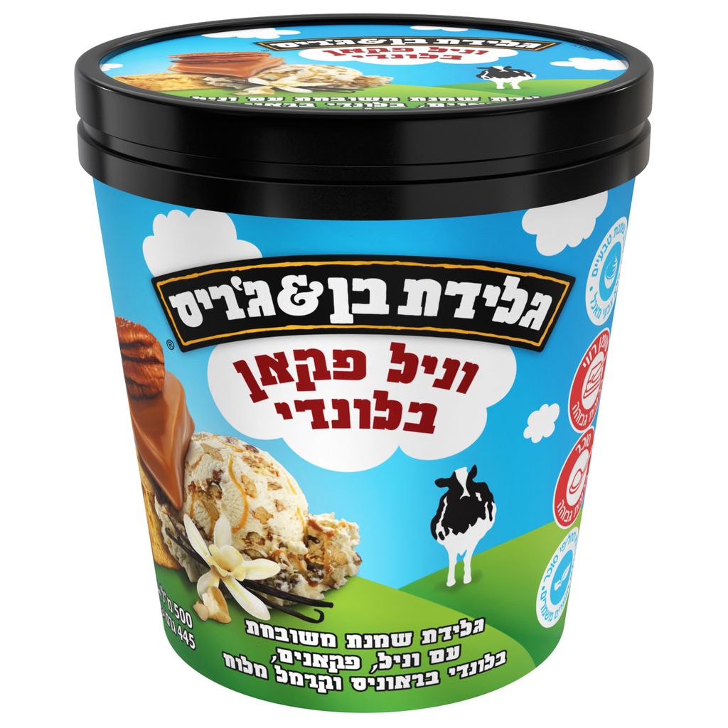 בן&גריס גלידה פיינט
