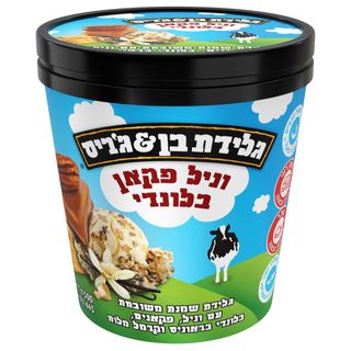 גלידה פיינט וניל פקאן בלונדי