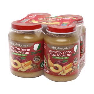 מחית סלט פירות ושיבו