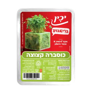 כוסברה בריאבוע 80 ג'