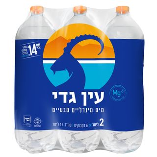 מים מינרלים עין גדי