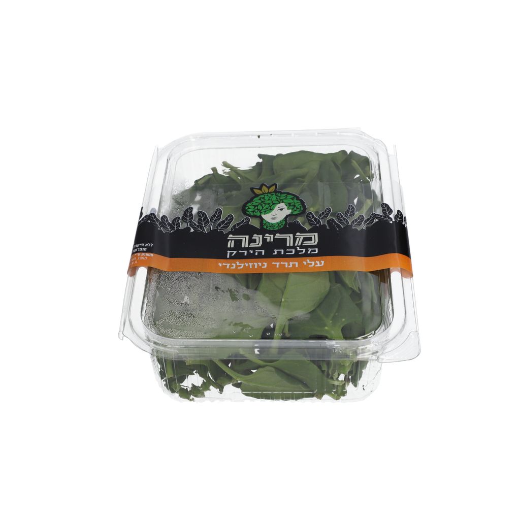 עלי תרד ניזילנדי