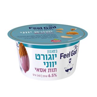 פילגד בסגנון יוגורט יווני תות אסאי 140 גרם בד"ץ הרב רובין
