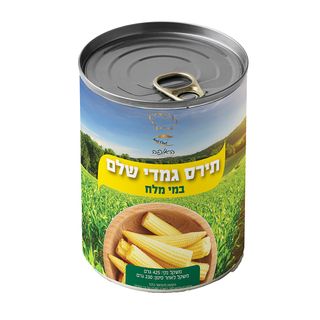 האופה - תירס גמדי 42