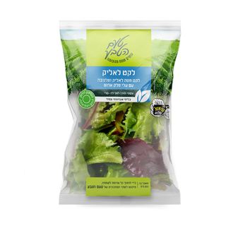 לקט חסה לאליק טעם הטבע