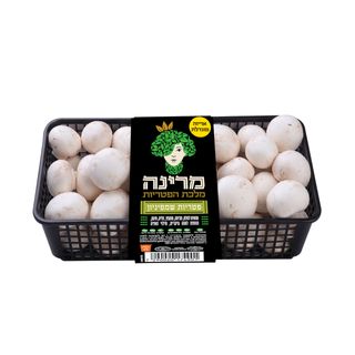 פטריות שמפיניון ארוז