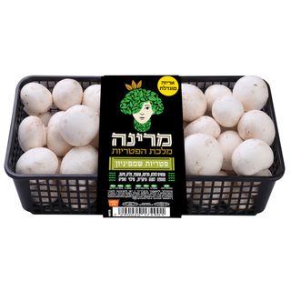 פטריות שמפיניון