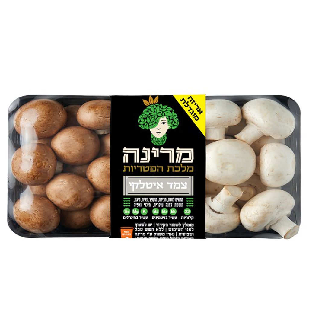 צמד איטלקי אריזה מוג
