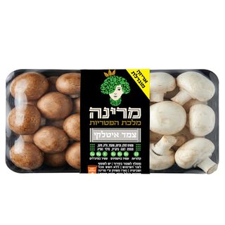 פטריות צמד איטלקי מעורב