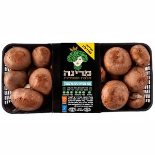 פטריות בייבי בלה