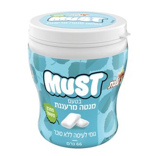 מסטיק מרעננת מגדים 66גרם