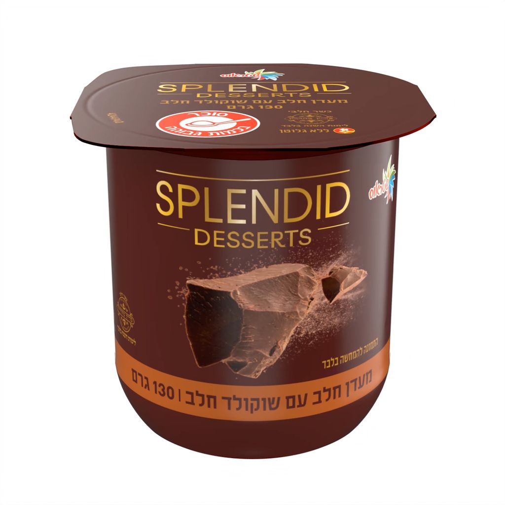 ספלנדיד מעדן חלב עם שוקולד חלב