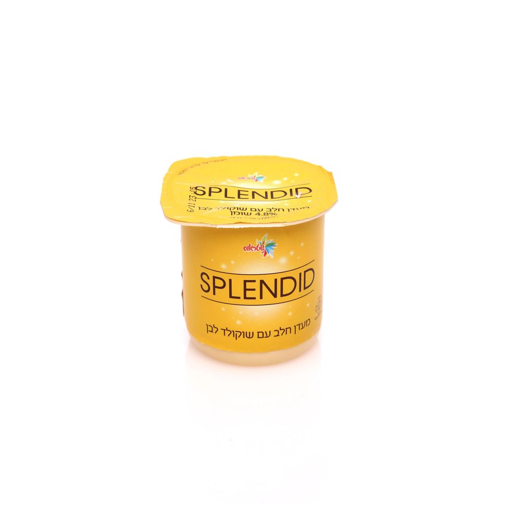 ספלנדיד מעדן חלב עם שוקולד לבן