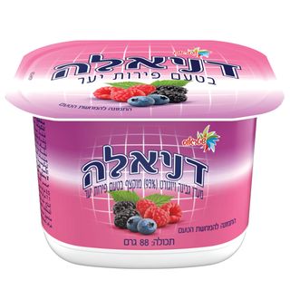 דניאלה מעדן גבינה מוקצף בטעם פירות יער