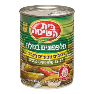 מלפפון במלח 13-17