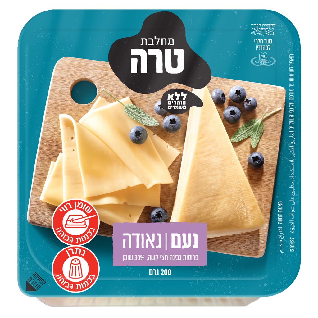 גאודה נעם פתיחה חוזר
