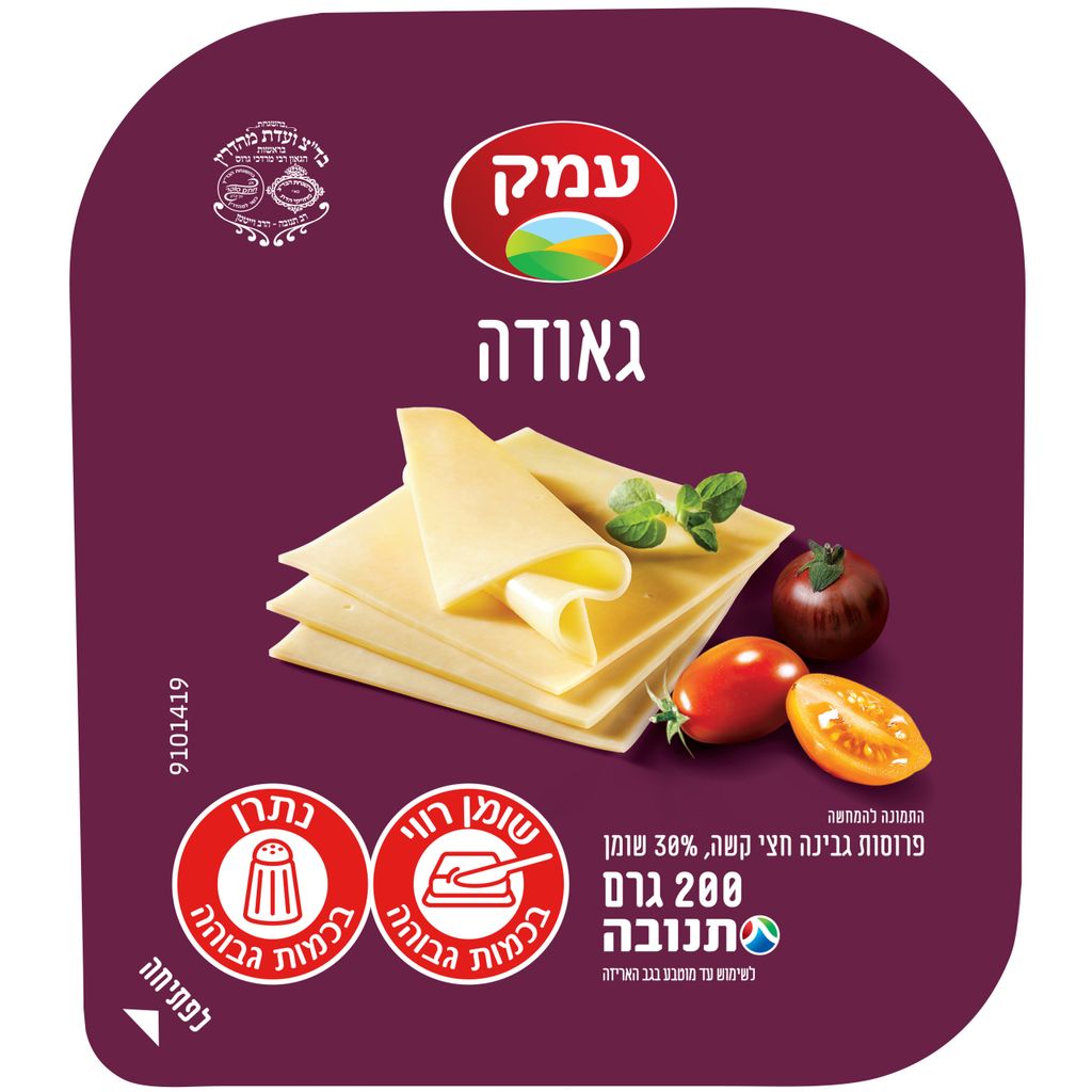 פרוסות גאודה עמק 200