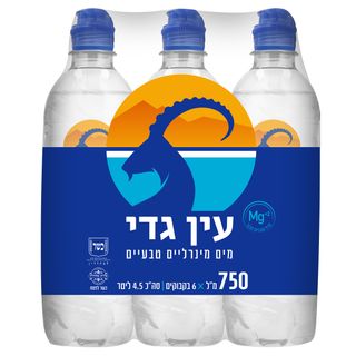 מים מינרלים עין גדי 750 מ"ל