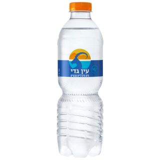 מים מינרליים עין גדי  500 מ"ל