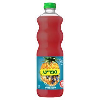 ספרינג אננס אוכמניות
