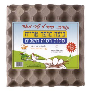 30 יח' ביצים גודל M רגילות רמות השבים