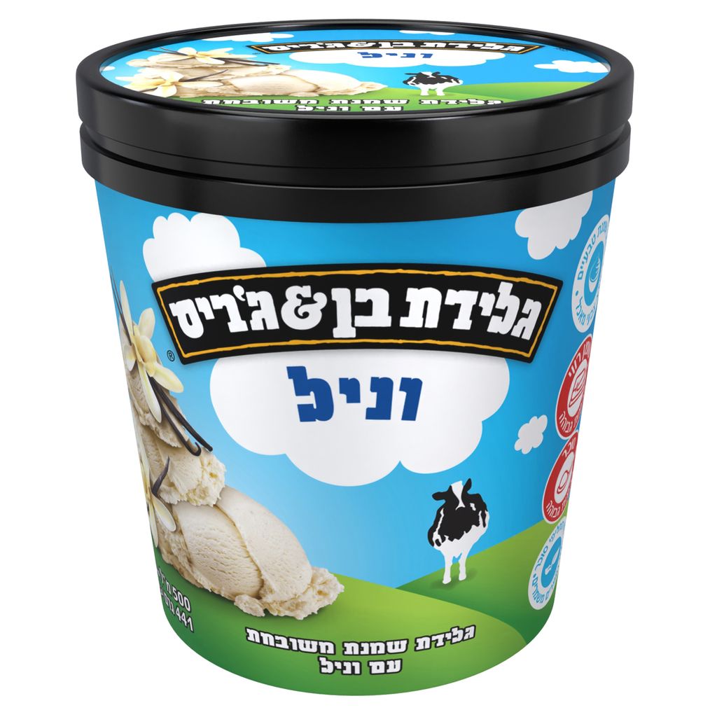 בן&גריס גלידה פיינטי