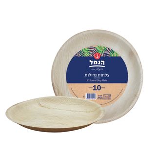 צלחות עגולות גדולות