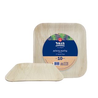 צלחות מרובעות גדול מ