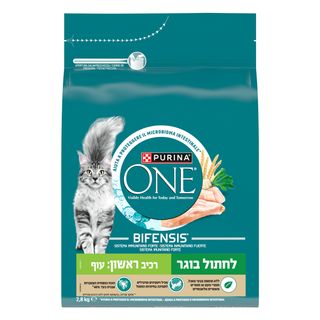 פורינה ONE בוגר עוף